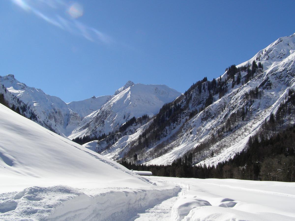 Landhaus Spielmannsau Oberstdorf Zewnętrze zdjęcie